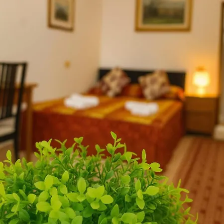 בית הארחה Relax Palace *