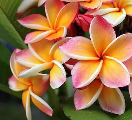 Relax Palace Gasthuis