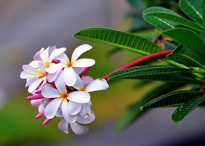 Maison d'hôtes Relax Palace *